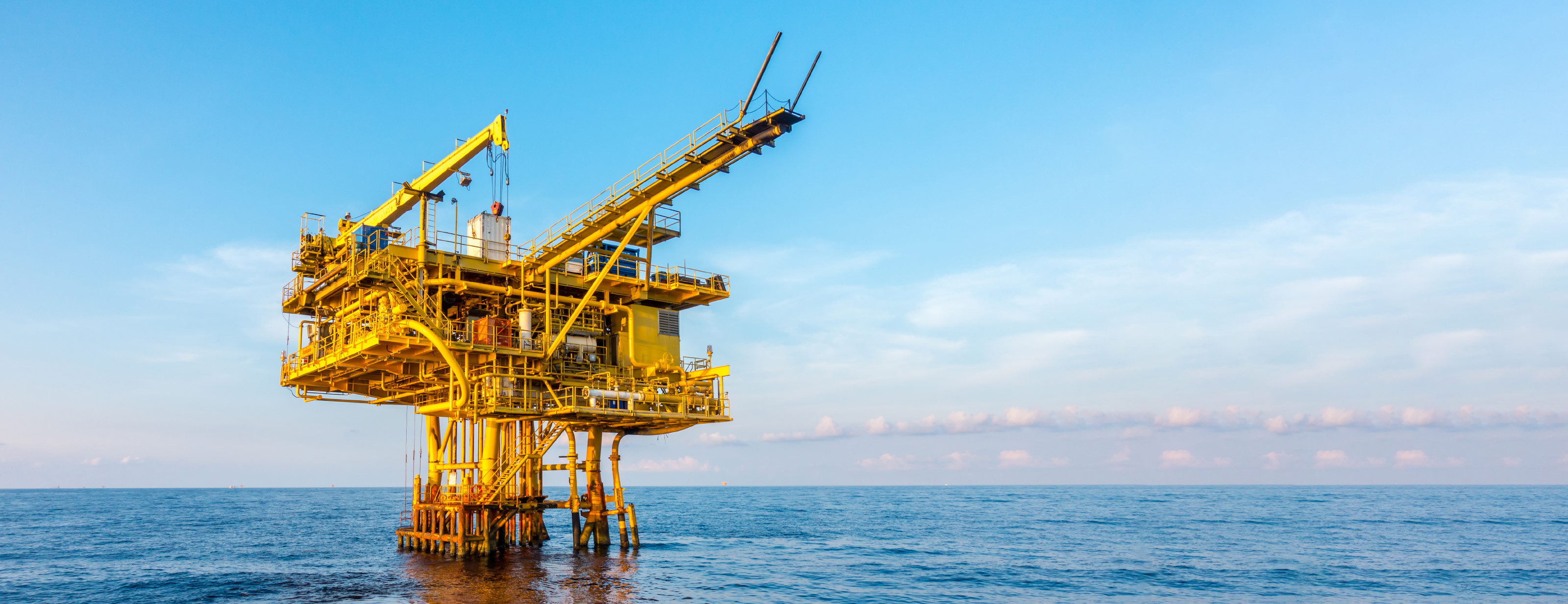 Ihr Platz in unserem Team